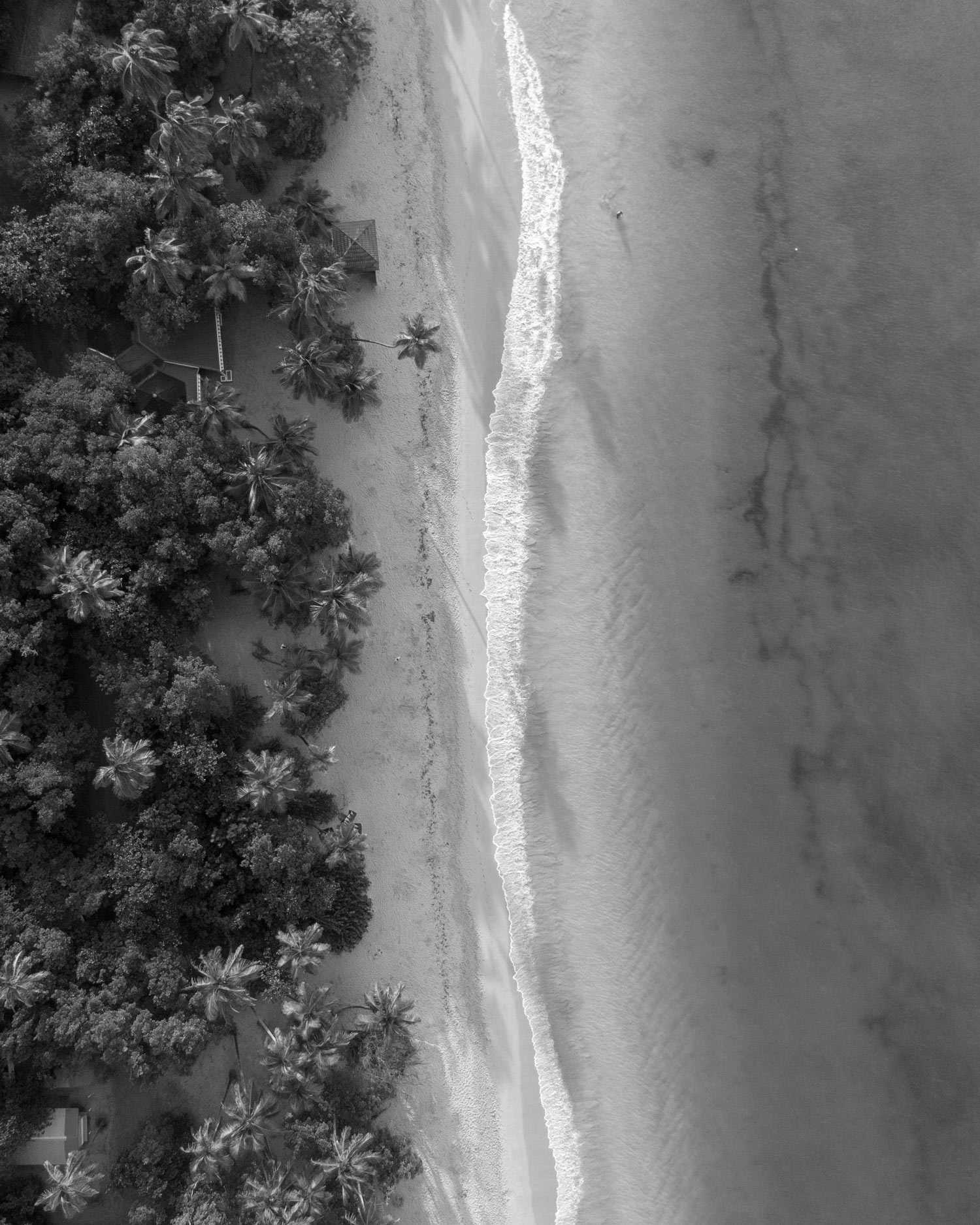 Martinique, vue aérienne d'une plage